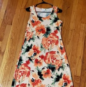 Brand new WOT Lularoe Dani dress